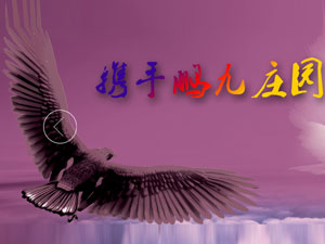 �i���f�@