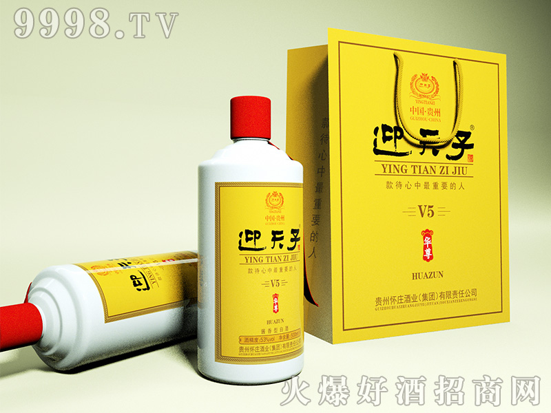 ӭ���Ӿ�V5�A��53��500ml�u���Ͱ׾�-�׾�������Ϣ