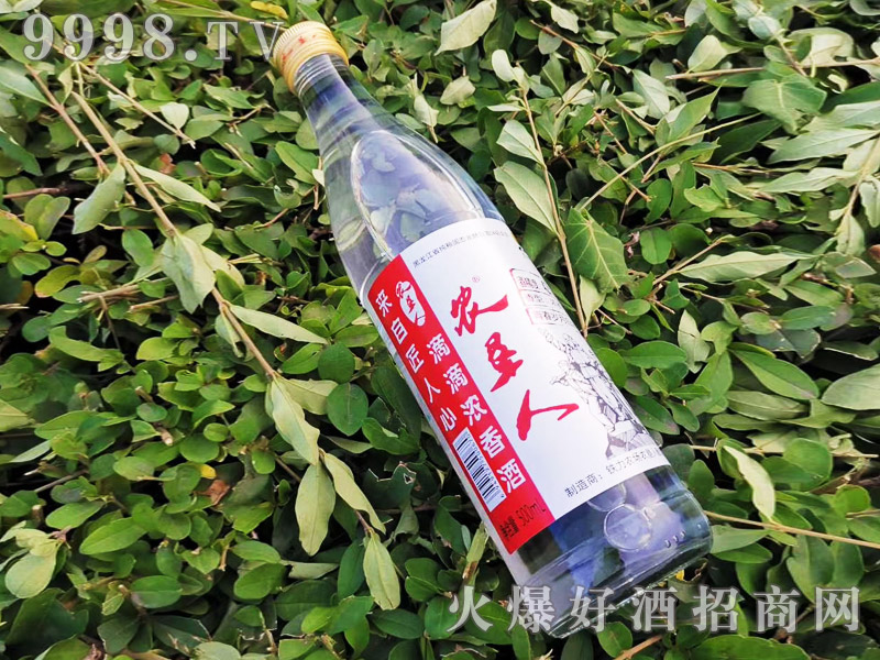 ������r�����ഺ�q�°׾Ɲ����Ͱ׾ơ�42��500ml��