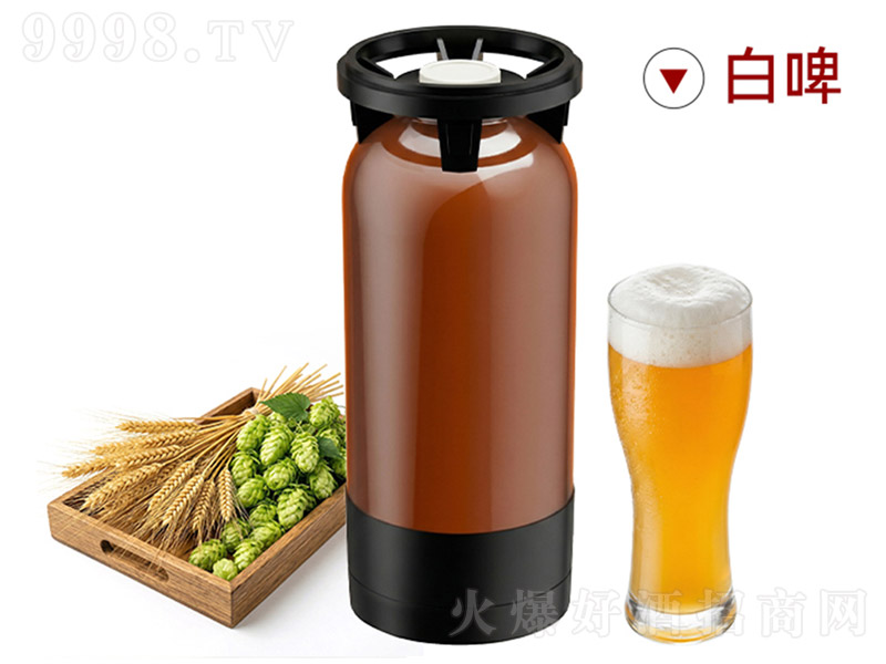 �ٴ󎟵�ʽС����ơ��12�� 20L��