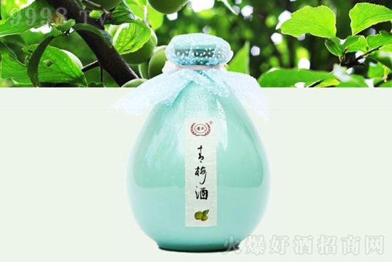 12���S�ϻ����ƃr���S����÷�Ʋʉ��ͶȻ�����500ml�r�񣬶����X��