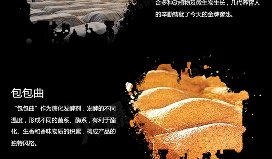 ��Ⱥ��ʮ����Ф��