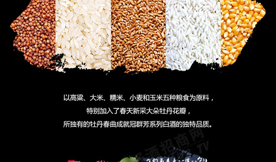 ��Ⱥ��ʮ����Ф��