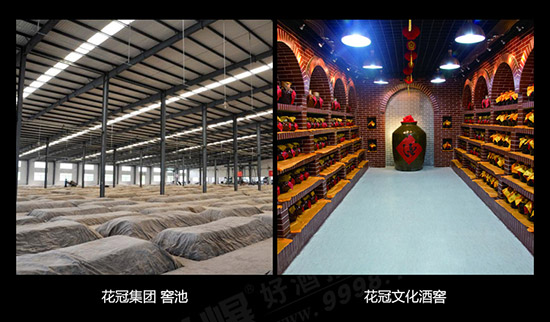 ��Ⱥ��ʮ����Ф��