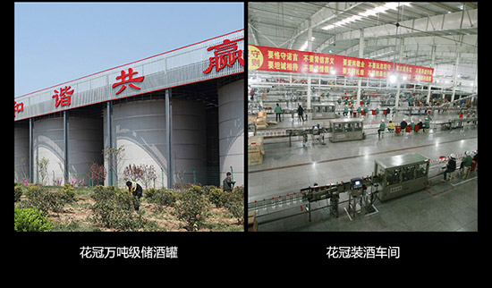 ��Ⱥ��ʮ����Ф��